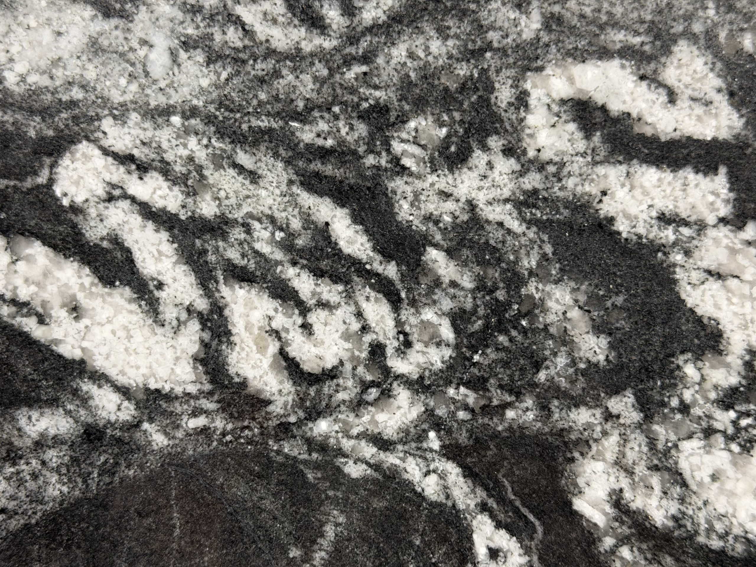 Black Forest – Polished